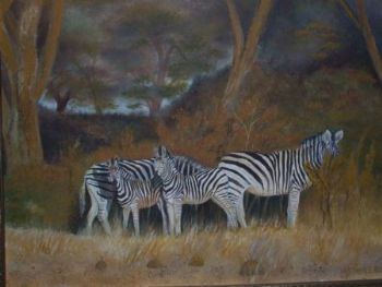 "Zebras"