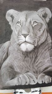 "Lion"