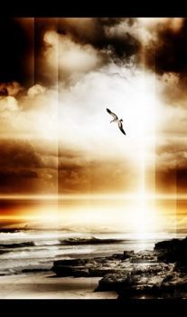 "Heaven Alone"