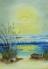 "Seashore"