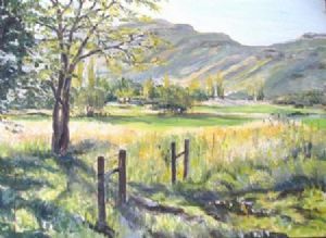 "Sunny fields"