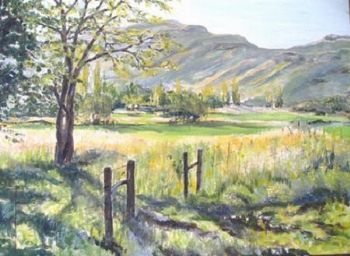 "Sunny fields"
