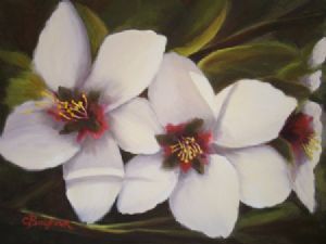 "Almond White"