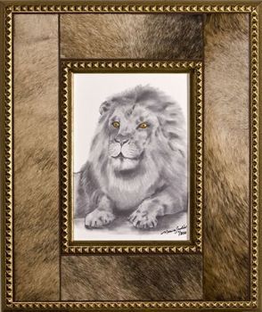 "Lion Pause"