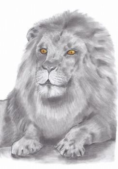 "Lion Pause"