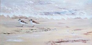 "Sandplovers"