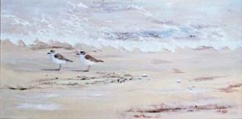 "Sandplovers"