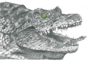 "Crocodile & Baby"