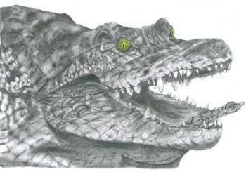 "Crocodile & Baby"