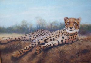 "Cheetah on Ant Hill"
