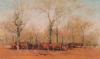 "Thabazimbi Bushveld"