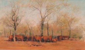 "Thabazimbi Bushveld"