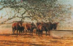 "cattle at trough"