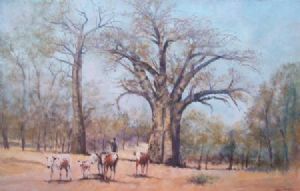 "Baobab Tree"