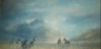"Zebra at Pilanesberg"