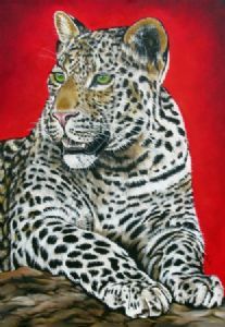 "Leopard"