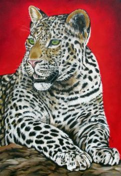 "Leopard"