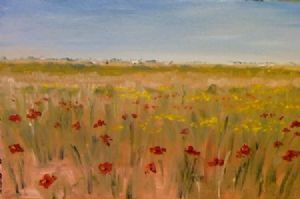 "Poppies in Jacobsbaai"