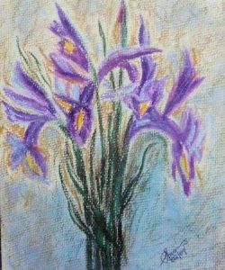 "Iris"