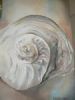 "The Other Shell"
