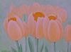 "Orange Tulips"