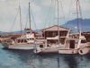 "556 Gordon Bay Boats"