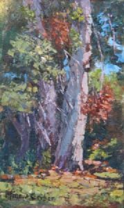 "Bluegum B"