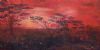"Kalahari sunset"