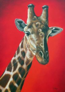 "Giraffe"