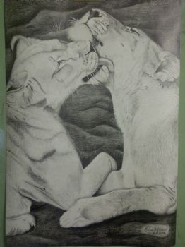 "Loving Lions"