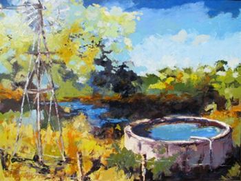 "Farm Scene - Karoo"