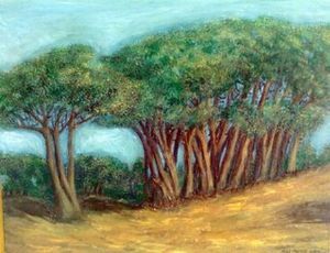"Cape Town Trees"