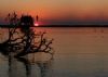 "Chobe River Sunset No.4 of 31"