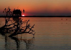 "Chobe River Sunset No.4 of 31"