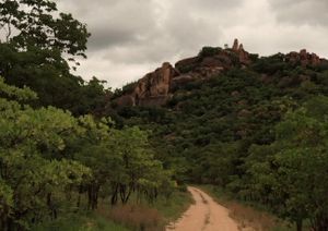 "Matopo Road No. 3 of 35"