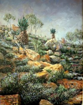 "Karoo Scene"