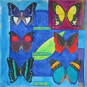 "Butterflies of Southern Africa - Series 1"