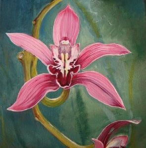 "mermaid orchid"