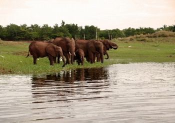"Lost Scenes Lake Kariba No. 6 of 33"