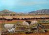 "Merinos in the Bo-Karoo"