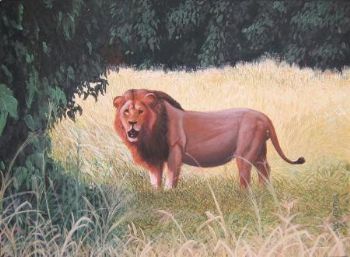 "Lion After Meal"
