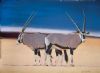 "Gemsbokke Resting"