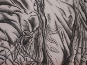 "Elephant Close Up"