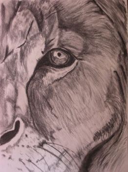 "Lion's Eye"