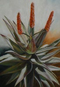 "Aloe with 3 flowers"