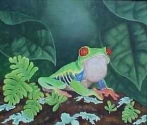 "Red Eyed Tree Frog"