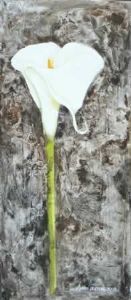 "Arum Lily #1"
