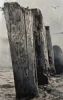 "Forgotten Pier"
