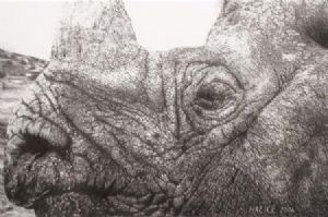 "Rocksteady"