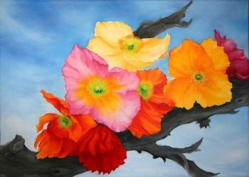 "Summerpoppys"